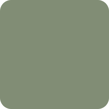 light-olive-green