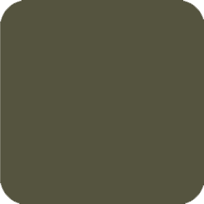 thicket